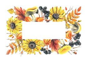 Autumn berries physalis, chokeberry, rowan leaves, maple, birch, mushrooms, rudbeckia flowers, tree branches, ladybugs. Watercolor illustrations. Rectangular frame wreath isolated from background vector