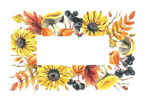 Autumn berries physalis, chokeberry, rowan leaves, maple, birch, mushrooms, rudbeckia flowers, tree branches, ladybugs. Watercolor illustrations. Rectangular frame wreath isolated from background