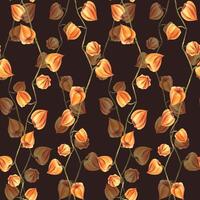 Autumn orange physalis berries on branches dry, without leaves dried flowers. Watercolor hand-drawn illustration. Seamless pattern on dark background vector