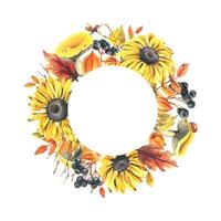 Autumn berries physalis, chokeberry, rowan leaves, maple, birch, russula mushrooms, rudbeckia flowers, tree branches and ladybugs. Watercolor illustrations. Round frame wreath isolated from background vector