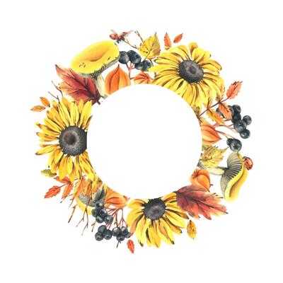Autumn berries physalis, chokeberry, rowan leaves, maple, birch, russula mushrooms, rudbeckia flowers, tree branches and ladybugs. Watercolor illustrations. Round frame wreath isolated from background