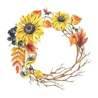 Autumn berries physalis, chokeberry, rowan leaves, maple, birch, russula mushrooms, rudbeckia flowers, tree branches and ladybugs. Watercolor illustrations. Round frame wreath isolated from background vector