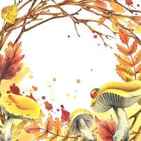 Autumn rowan leaves, maple, birch, russula mushrooms, tree branches and ladybugs. Watercolor illustrations. Blank template for text square. vector