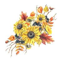 Autumn berries physalis, chokeberry, rowan leaves, maple, birch, russula mushrooms, rudbeckia flowers, tree branches and ladybugs. Watercolor illustrations. Sublimation isolated from the background vector