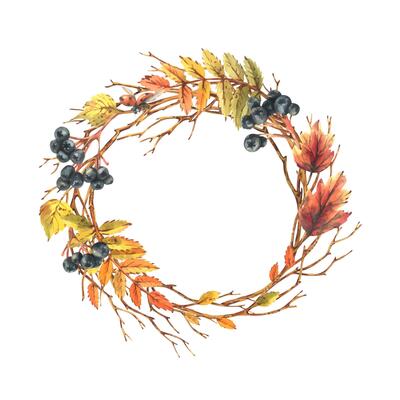 Autumn berries chokeberry, rowan leaves, maple, birch, tree branches and ladybugs. Watercolor illustrations. Round frame wreath isolated from background