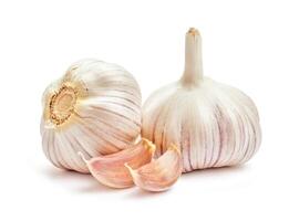 Garlic isolated on white background photo