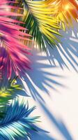 Colorful palm tree leaves background with copy space for text. Floral pattern wallpaper with shadows from shining sun photo