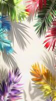 Colourful palm tree leaves background with copy space for text. Floral pattern wallpaper with shadows from shining sun photo