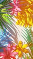 Colorful palm tree leaves background with copy space for text. Floral pattern wallpaper with shadows from shining sun photo