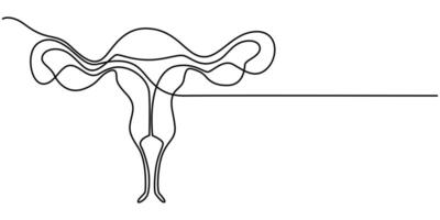Continuous single one line drawing Uterus and ovaries vector