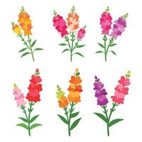 Snapdragon flower set isolated flat illustration on white background vector