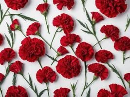 An arrangement of vibrant red carnations displayed against a pristine white background photo