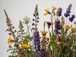 Arrangement of various vividly colored wildflowers against a neutral background photo