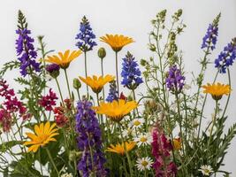 A vivid and diverse bouquet of wildflowers showcasing an array of vibrant colors and intricate shapes against a neutral background photo