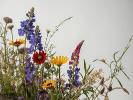 A radiant arrangement of various wildflowers gracefully displayed against a neutral background photo