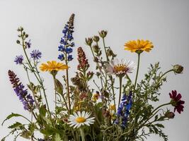 A Vibrant Arrangement of Wildflowers Against a Plain Background photo