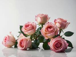 An elegant arrangement of delicate pink roses displayed against a pristine white background photo