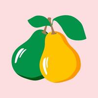 Pears of different varieties and colors isolated on a light pink background. Farm garden, organic fruits. vector