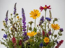 A vibrant bouquet of various wildflowers in full bloom against a plain background photo