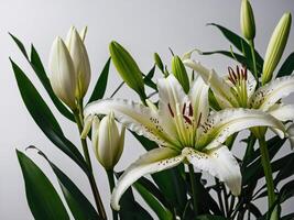 Delicate white lilies in full bloom gracefully complemented by their verdant foliage and buds against a serene background photo
