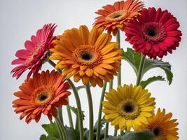 Bright and Cheerful Bouquet of Multicolored Gerbera Daisies in Full Bloom photo