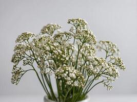Elegant bouquet of delicate white flowers arranged in a simple vase against a neutral backdrop photo
