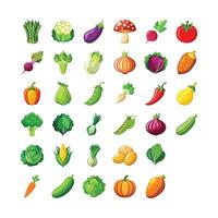 Different types of Fresh Vegetables set vector