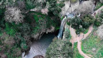 Breathtaking Aerial View of a Serene Waterfall Surrounded by Lush Greenery and Tranquil Pathways video