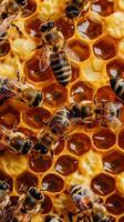 Close up of honeybee on honeycomb, showcasing natural honey production and insect teamwork, beekeeping photo
