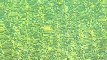 Clear water with visible rocks beneath the surface. A peaceful underwater view of a clear body of water, revealing smooth rocks lying on the bottom. video