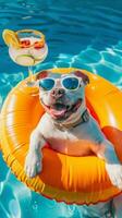 A dog in sunglasses lounges in a pool on an inflatable ring with cocktails, exuding contentment and humor photo