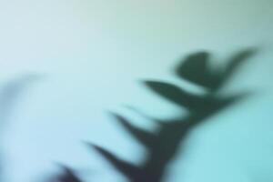 Natural leaves shadow on gradient paper background. Abstract blue and mint floral backdrop. Soft light photo