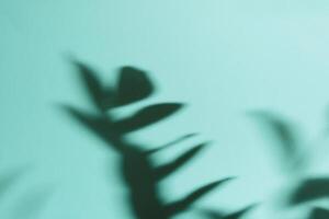 Natural leaves shadow on gradient paper background. Abstract blue and mint floral backdrop. Soft light photo