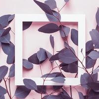 Natural Elegant background. Minimal summer concept. Eucalyptus branches and white square frame on pink background photo