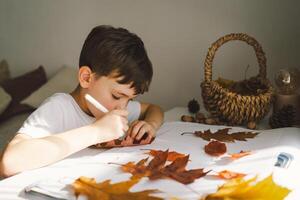 Young Boy Engaged in Creative Leaf Art Activity at Home on a Sunny day photo