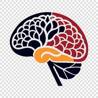 outline of an illustration of the human brain vector