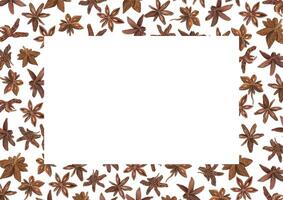Aromatic Star anise seasoning watercolor horizontal frame. Badian, Aniseed spice Christmas and New Year hand drawn illustration with empty space for text. For greetings, cards, package vector