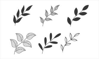 a set of leaf decorations vector
