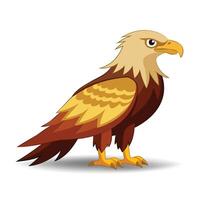 Majestic Eagle Symbol of Strength, Freedom, and Sharp Vision vector