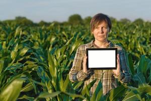 Agronomist with tablet computer in corn field photo