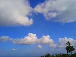 A view of the sky with clouds and trees photo