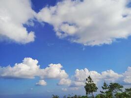 A view of the sky with clouds and trees photo