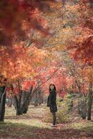 Portrait of a young Asian woman with autumn leaves photo