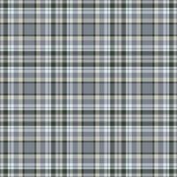 Plaid seamless pattern. background of textile ornament. Flat fabric design. vector