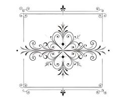 a fancy decorative frame with ornate design vector