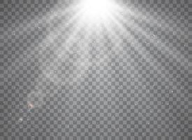 Holiday glow with sparkling starry patterns vector