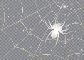 Spider on a web. Isolated background. Graphic concept for your design vector