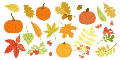 Autumn cozy hand drawn set with pumpkins, leaves and berries in colorful flat style. Simple doodle botanical stickers isolated on white background vector