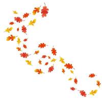 Autumn background with oak leaves. Autumn composition of oak leaves. Autumn overlay on white background. vector