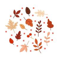 Set of autumn leaves and twigs. Decorative autumn elements. Autumn leaves for cards, background, banner, invitation. Flat illustration on white background. vector